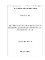 (Luận văn thạc sĩ) phát triển dịch vụ ngân hàng hiện đại tại ngân hàng thương mại cổ phần công thương việt nam   chi nhánh tỉnh đắk lăk 