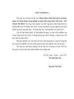 (Luận văn thạc sĩ) hoàn thiện chiến lược dịch vụ khách hàng của ngân hàng nông nghiệp và phát triển nông thôn việt nam – chi nhánh mỹ đình 