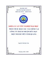 (Luận văn thạc sĩ) phân tích báo cáo tài chính tại công ty trách nhiệm hữu hạn một thành viên vinh quang 