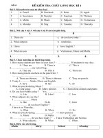 Kiem tra HK 1 Tieng Anh 4 Lets learn