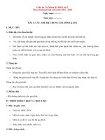 Mẫu giáo án Tự nhiên xã hội lớp 2 SGK Chân trời sáng tạo