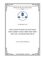 (Luận văn thạc sĩ) nâng cao chất lượng tín dụng tại ngân hàng nông nghiệp và phát triển nông thôn việt nam   chi nhánh tỉnh ninh thuận 
