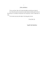 (Luận văn thạc sĩ) chiến lược kinh doanh của công ty cổ phần cơ điện trần phú 