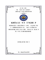 (Luận văn thạc sĩ) đánh giá sự hài lòng của người lao động về chính sách tiền lương tại công ty trách nhiệm hữu hạn thương mại tổng hợp tuấn việt chi nhánh huế 