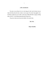 (Luận văn thạc sĩ) kế toán hàng tồn kho tại công ty TNHH đầu tư window việt nam 