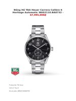Đồng hồ TAG heuer carrera calibre 6 heritage automatic WAS2110 BA0732   67,995,000₫