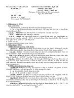 20 DE LY 10 HK1 2013 DONG THAP