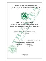 Khóa luận tốt nghiệp Quản lý tài nguyên rừng: Nghiên cứu đặc điểm lâm học của loài lùng (Bambusa SP.) tại thị trấn Sơn Lư, Huyện Quan Sơn, tỉnh Thanh Hóa