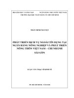 (Luận văn thạc sĩ) phát triển dịch vụ ngoài tín dụng tại ngân hàng nông nghiệp và phát triển nông thôn việt nam   chi nhánh sài gòn 