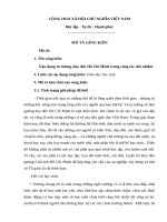 (Sáng kiến kinh nghiệm) vận dụng tư tưởng, đạo đức hồ chí minh trong công tác chủ nhiệm 