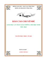 (Sáng kiến kinh nghiệm) báo cáo chuyênđề giáo dục an toàn giao thông cho học sinh tiểu học 