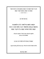 Nghiên cứu những biểu hiện xúc cảm tiêu cực trong hoạt động học tập của học sinh tiểu học 