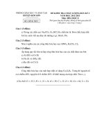 De thi ban ki IDA Hoa 8