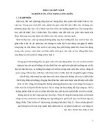 (Sáng kiến kinh nghiệm) rèn luyện kĩ năng tự học của học sinh khi dạy phần “địa lí dân cư”trong chương trình địa lí lớp 12   ban cơ bản 