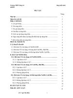 (Sáng kiến kinh nghiệm) phương pháp giải bài tập CO2 tác dụng với dung dịch kiềm 