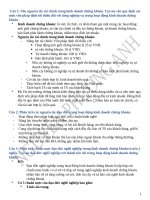 Tài liệu lý thuyết KDCK