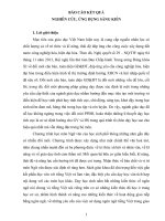 (Sáng kiến kinh nghiệm) dạy học bài tổng kết tiếng việt lịch sử, đặc điểm loại hình và các phong cách ngôn ngữ trong chương trình ngữ văn 12 theo hướng tích cực hóa hoạt động của học sinh  