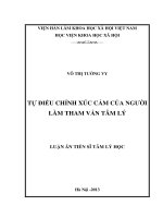 Tự điều chỉnh xúc cảm của người làm tham vấn tâm lý 