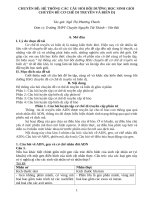 (Sáng kiến kinh nghiệm) chuyên đề hệ thống các câu hỏi bồi dưỡng học sinh giỏi chuyên đề cơ chế di truyền và biến dị 