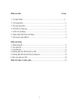 (Sáng kiến kinh nghiệm) rèn luyện kĩ năng làm bài nghị luận xã hội cho học sinh lớp 11 