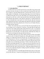 (Sáng kiến kinh nghiệm) tìm hiểu việc sử dụng mô hình trong dạy học toán ở tiểu học 