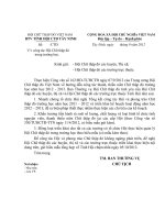 Cong van trien khai mau bao cao chu thap do