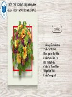 Chủ Nghĩa Xã Hội Khoa Học File Thuyết Trình