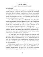 (Sáng kiến kinh nghiệm) một số hình thức tổ chức dạy học ngoại khoá lịch sử địa phương 