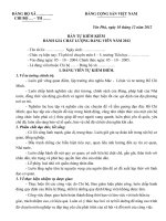 KIEM DIEM XL DANG VIEN 2012