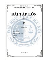 Mẫu bài tập lớn Mẫu bài tập lớn