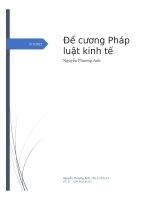 Đề cương pháp luật kinh tế theo luật doanh nghiệp mới 2020