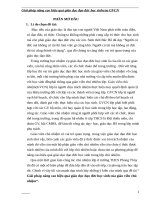 (Sáng kiến kinh nghiệm) giải pháp nâng cao hiệu quả giáo dục đạo đức học sinhcủa GVCN 