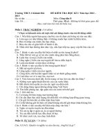 De KT ky I mon CD 8 nam hoc 2012 2013