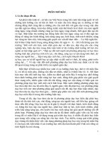 (Sáng kiến kinh nghiệm) dạy học chủ đề địa lí dân cư theo hình thức dự án (chương trình địa lí lớp 10 trung học phổ thông) 