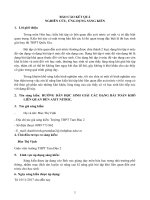 (Sáng kiến kinh nghiệm) HƯỚNG dẫn học SINH GIẢI các DẠNG bài TOÁN KHÓ LIÊN QUAN đến AXIT NITRIC 