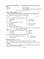 De KT ky I mon Su 7 nam hoc 2012 2013