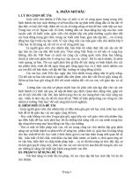 (Sáng kiến kinh nghiệm) một số biện pháp nâng cao công tác chủ nhiệm ở trường tiểu học 