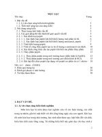 (Sáng kiến kinh nghiệm) phân loại và phương pháp giải một số bài tập cơ bản về peptit 