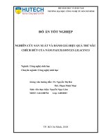 (Luận văn thạc sĩ) nghiên cứu sản xuất và đánh giá hiệu quả trừ sâu chích hút của nấm paecilomyces lilacinus 