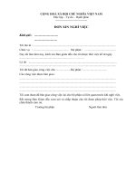 Mau don xin nghi viec