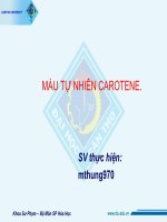 mau tu nhien carotene