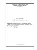 (Sáng kiến kinh nghiệm) khai thác kênh hình để tạo hứng thú học tập môn lịch sử ở học sinh   phần lịch sử thế giới cận đại lớp 10 