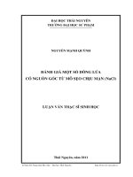 Đánh giá một số dòng lúa có nguồn gốc từ mô sẹo chịu mặn nacl 