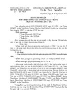 bao cao so ket ATGT nam 2012 2013