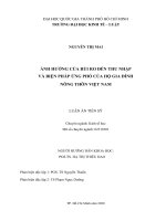 Ảnh hưởng của rủi ro đến thu nhập và biện pháp ứng phó của hộ gia đình nông thôn việt nam (luận án tiến sĩ kinh tế) 