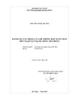 (Luận văn thạc sĩ) đánh giá tác động của hệ thống đập ngăn mặn đến ngập lụt hạ du sông trà bồng 