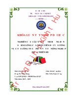 Khóa luận tốt nghiệp Quản trị kinh doanh: Nghiên cứu các yếu tố ảnh hưởng đến sự hài lòng của nhân viên đối với công việc tại công ty Cổ phần vật tư nông nghiệp Thừa Thiên Huế