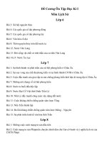 De cuong on kiem tra Hoc ky IMon Su Dia THCS