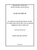 Các nhân tố ảnh hưởng tới sự gắn kết của nhân viên với tổ chức tại các doanh nghiệp sau ma ở việt nam 