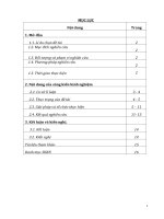 (Sáng kiến kinh nghiệm) phương pháp giải một số dạng bài tập về tác động của đột biến đối với cấu trúc di truyền quần thể 